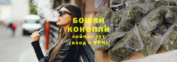 PSILOCYBIN Аркадак