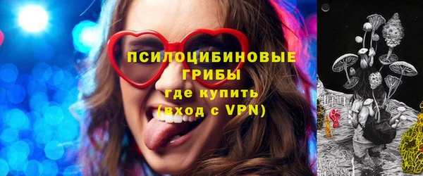 PSILOCYBIN Аркадак