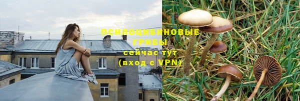 MESCALINE Армянск