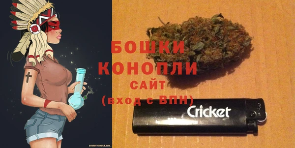 PSILOCYBIN Аркадак