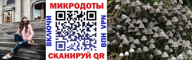 Галлюциногенные грибы мухоморы  KRAKEN tor  Советск  купить наркотики цена 